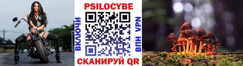 как найти наркотики Сосновка Псилоцибиновые грибы Psilocybe