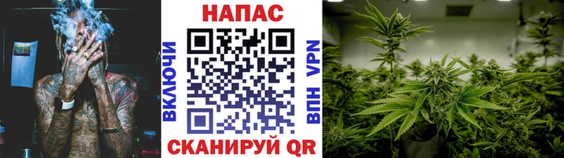 Марихуана конопля  Сосновка 